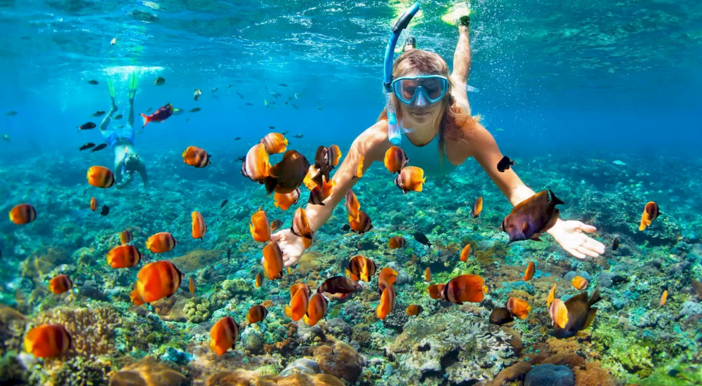 Early morning (07:00 - 09:00 AM) offers the best underwater visibility for diving and snorkeling activities